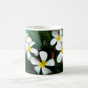 Mok Hawaiian Plumeria Flowers