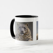 Mok Himalyan Prince (Voorkant links)