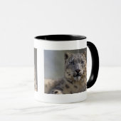 Mok Himalyan Prince (Voorkant rechts)