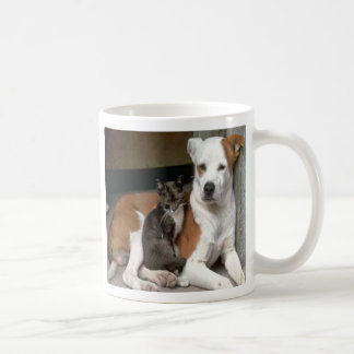 Mok honden en katten