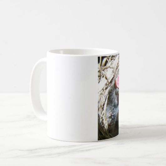 Mok Hongaarse baby's (Voorkant links)