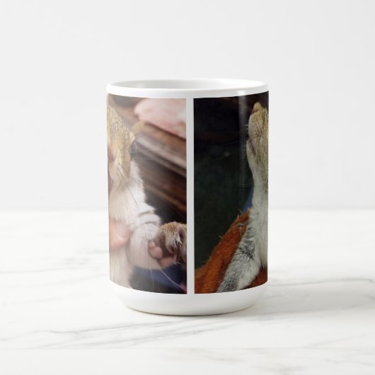 Mok HRH Claudia (Center)