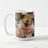 Mok HRH Claudia (Links)