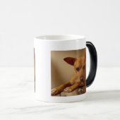 Mok II van Bubba (Voorkant rechts)