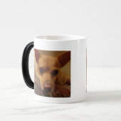 Mok II van Bubba (Voorkant links)