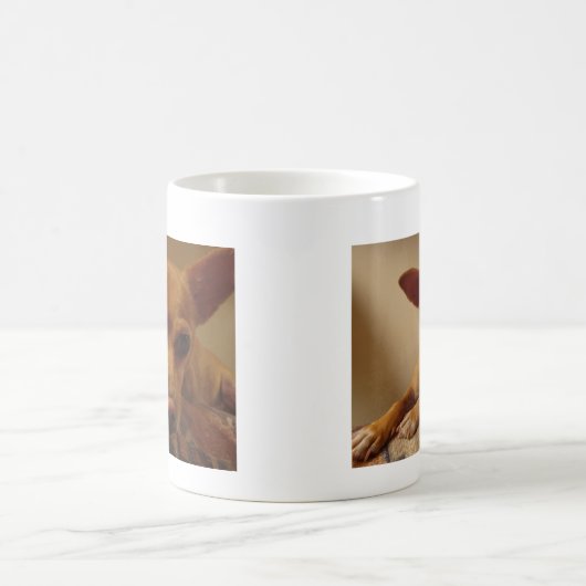 Mok II van Bubba (Center)