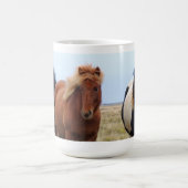 mok IJslandse paarden (Center)