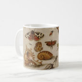 Mok  illustratie biologie (Voorkant links)