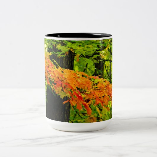 Mok in het najaar (Center)