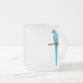 Mok Indische ringnek Paraket (Voorkant rechts)