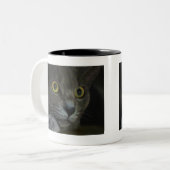 Mok intensiteit (Voorkant links)