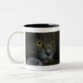 Mok intensiteit (Links)