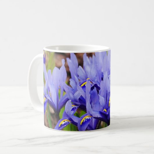 Mok Iris Flowers (Voorkant links)