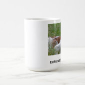 Mok Irish Red & White Setter (Center)