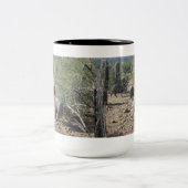 Mok Javelina (Center)