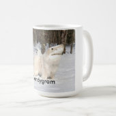 Mok kandygram (Voorkant rechts)