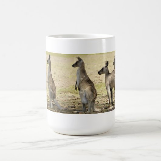 Mok Kangaroo (Center)