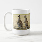 Mok Kangaroo (Links)