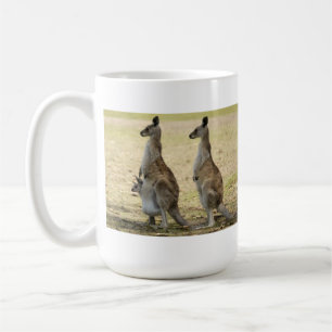 Mok Kangaroo