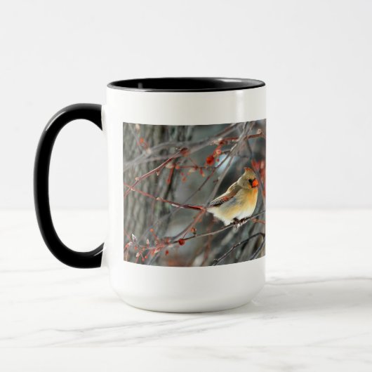 Mok - Kardinaal in sneeuw (Links)