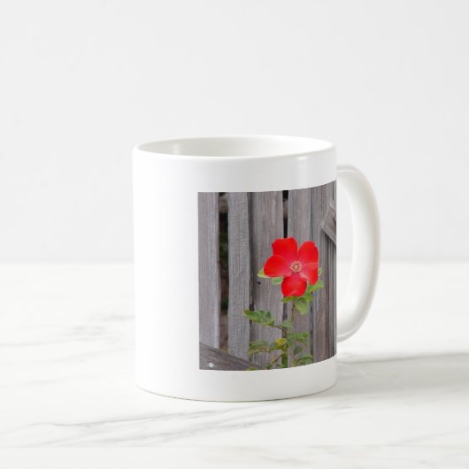 mok karper (Voorkant rechts)