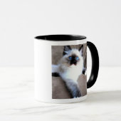 Mok kat (Voorkant rechts)