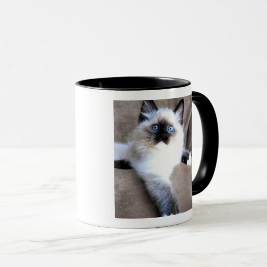 Mok kat (Voorkant rechts)