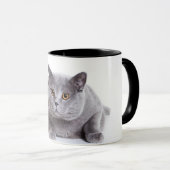 mok kat (Voorkant rechts)