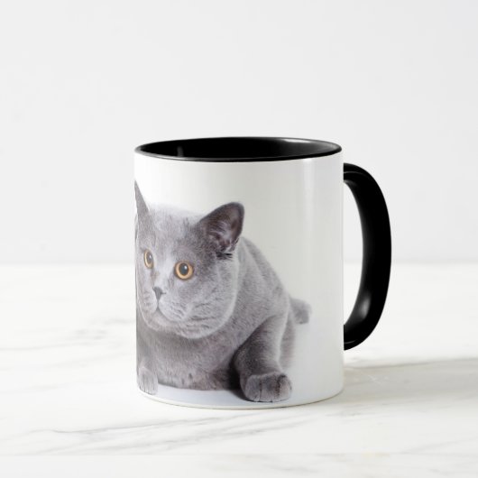 mok kat (Voorkant rechts)