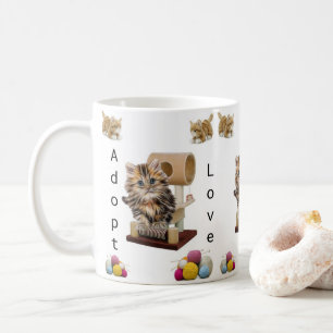 Mok Kat Cat Condo Cat Adoption