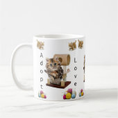 Mok Kat Cat Condo Cat Adoption (Links)