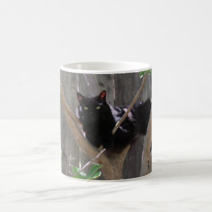 Mok - Kat in takken