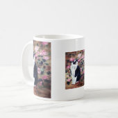 Mok Kat Kaboodles (Voorkant links)