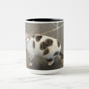 mok kat - kies stijl en kleur