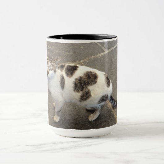 mok kat - kies stijl en kleur (Midden)