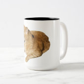 Mok kat koffie (Voorkant rechts)