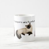 Mok  katten in de Himalaya (Center)