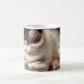 Mok kauwkat (Center)