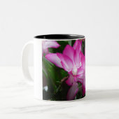 Mok kerstcactus Flowers (Voorkant links)