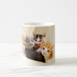 Mok Kitten Trio