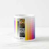 Mok kleurenpalet (Center)