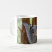 Mok Koala Beer (Voorkant links)