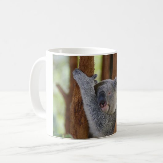 Mok Koala Beer (Voorkant links)
