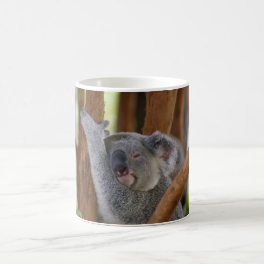 Mok Koala Beer (Center)