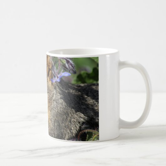 mok koffie met eekhoorn (Rechts)
