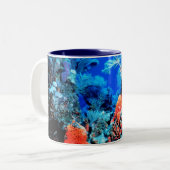 Mok koraalrif (Voorkant links)