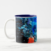 Mok koraalrif (Links)