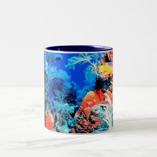 Mok koraalrif (Center)