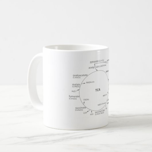 Mok Krebs Cycle www.nutritionradio.org (Voorkant links)