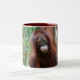 Mok Krista Orangutan Fan Club